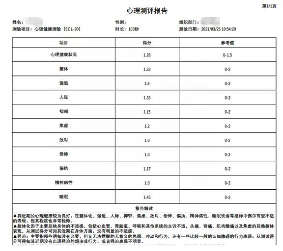 心理測評報(bào)告模版